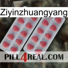 Ziyinzhuangyang 19